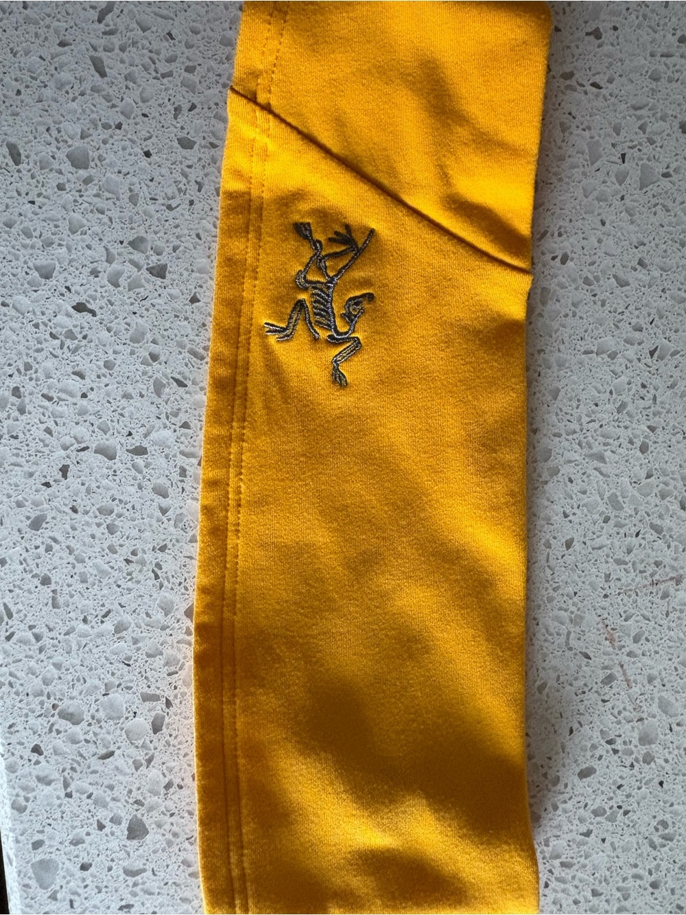 Arc’teryx Yellow Headband